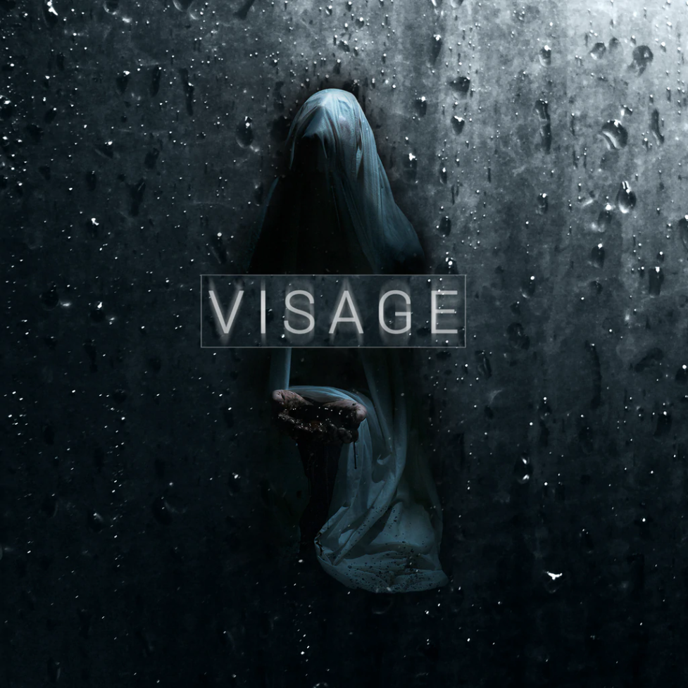 Visage cover